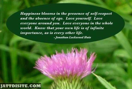 Happiness Blooms In The Presence Of Self Respect