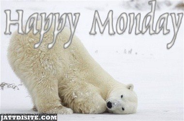 Happy Monday With Polar Bear