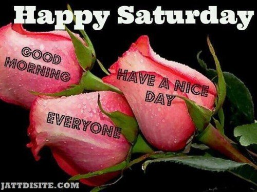 Happy Saturdeay Good Morning everyone