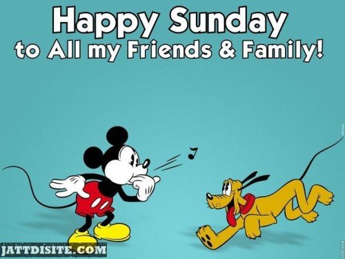 Happy Sunday To all My Friends