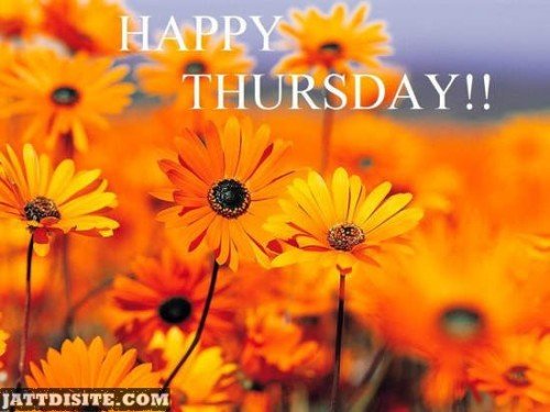 Happy Thursday Flower Wallpaper