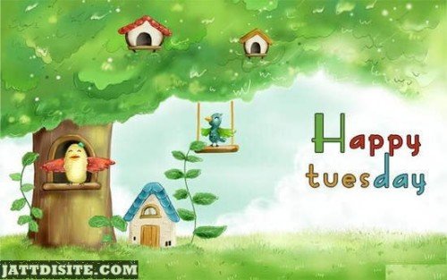 Happy Tuesday Bird