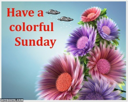 Have A Colourful Sunday