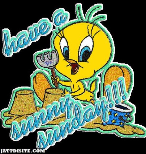 Have A Sunny Sunday With Tweety Glitter