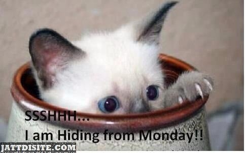 Hidding For Monday