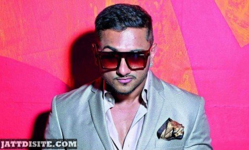 Honey Singh Enjoy Stardom
