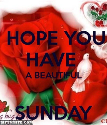 Hope You Have A Beautiful Sunday