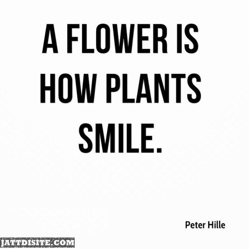How Plants Smile
