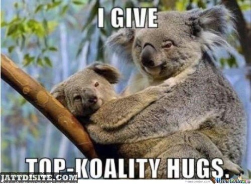 Koality Hugs