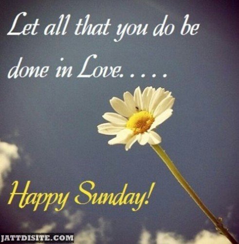 Let all That You Happy Sunday
