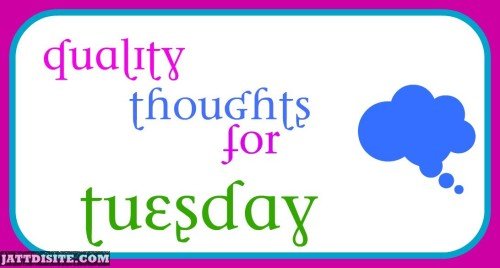 Quility Thoughts For Tuesday