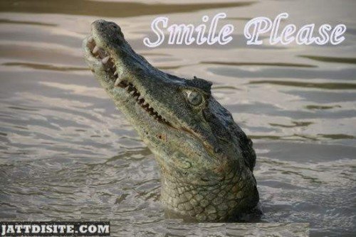 Smile Please