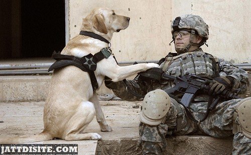 Soldier With Dog