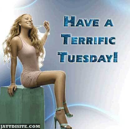 Terric Wish For Tuesday