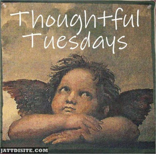 Thoughtful Tuesday