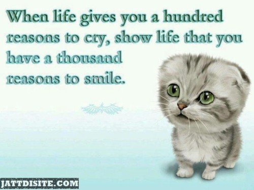Thousand Reason To Smile With Cat wallpaper