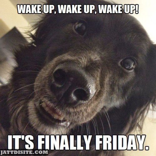 Wake Up Is Friday