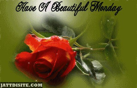 Wishes For Beautiful Monday