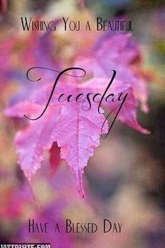 Wishing You A  Beautiful Tuesday