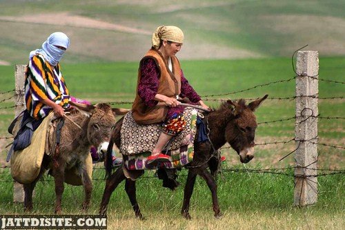 Women Riding The Donkey