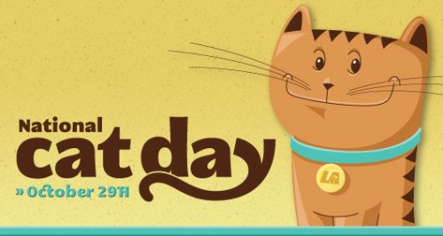 Awesome Cat Day Image