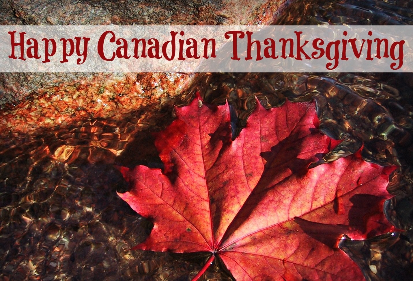 Canadian Thanksgiving Pictures Images