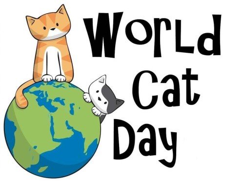 Cat Day Wishes