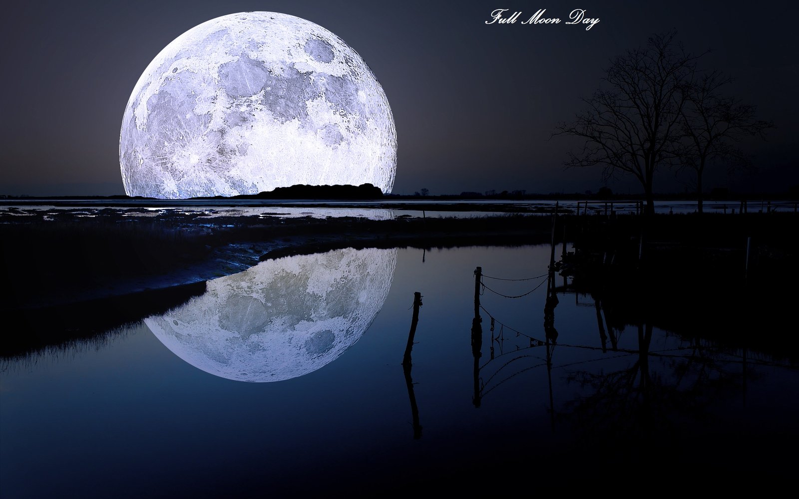 Full Moon Day Greeting JattDiSite
