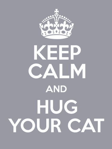 HUg Your Cat On Cat Day