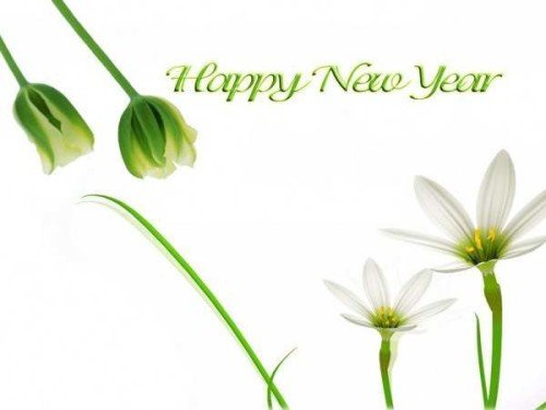 Happy New Year Greeting flowre