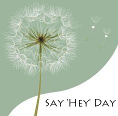 Say 'Hey' Day mbm