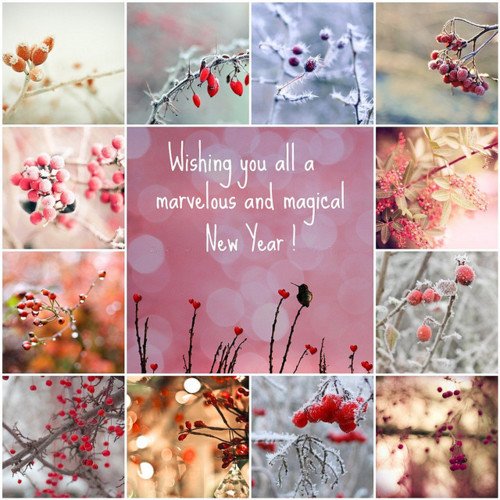 Wishing You All A Marvelous & Magical New Year!