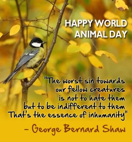 World Animal Day Image11