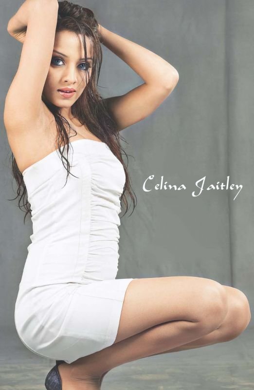 Celina Jaitley Xx Com - Bollywood Images Pictures, Images - Page 235
