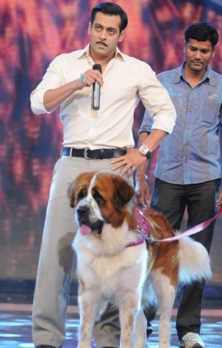Salman Khan & His Dog