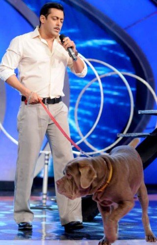 Salman Khan With His Dog In IGT