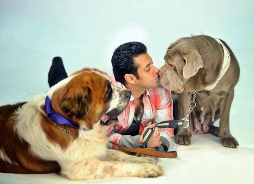 Salman Khan With His Dogs
