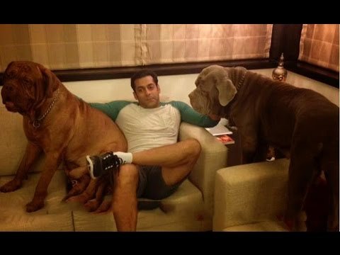 Salman Khan With His Dogs In Home