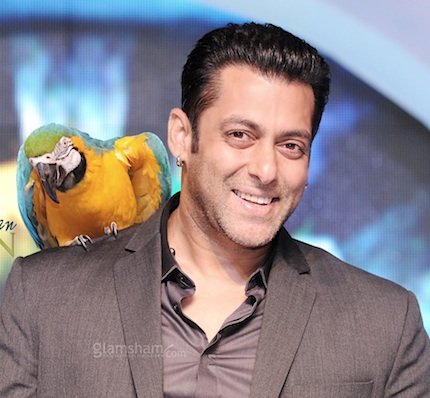 Salman Khan With Parrot