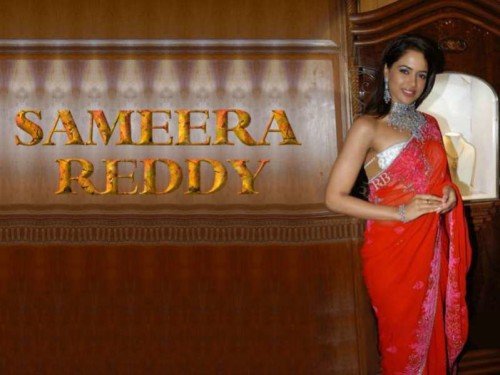 Sameera Reddy In Gorgeous Saree