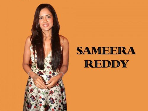 Sameera Reddy Nice Dress