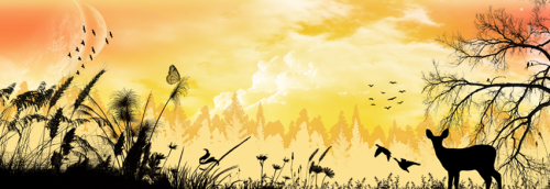 Another World Facebook Timeline Cover