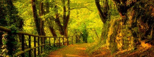 Autumn Way Facebook Timeline Cover