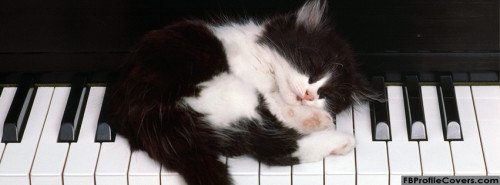 Cat and Piano