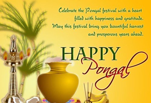 Celebrate The Pongal Festival With A Heart Filled With Happiness And Gratitude Happy Pongal