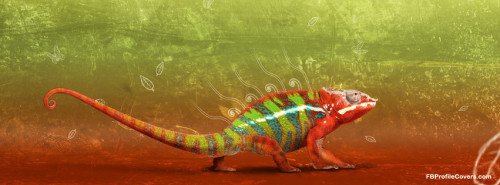 Colorful Creature