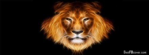 Digital Lion Facebook Timeline Profile Cover