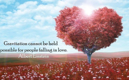 Gravitation Cannot Be Falling In Love Quote