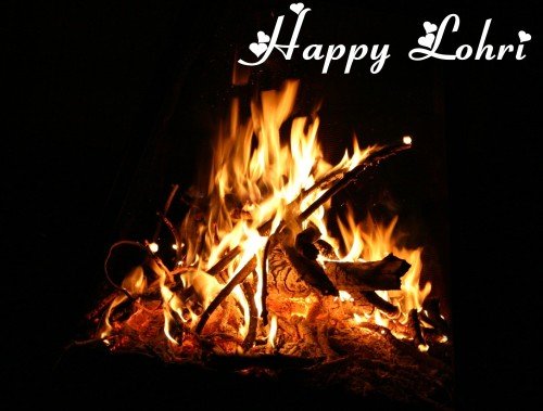 Happy Lohri Day Image
