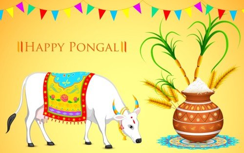 Happy Pongal Bull And Pot